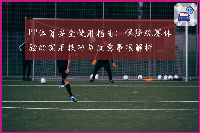 PP体育安全使用指南：保障观赛体验的实用技巧与注意事项解析