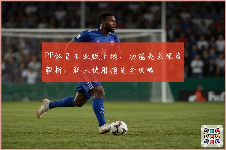 PP体育专业版上线，功能亮点深度解析，新人使用指南全攻略