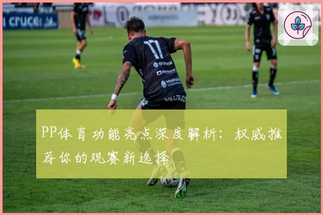 PP体育功能亮点深度解析：权威推荐你的观赛新选择