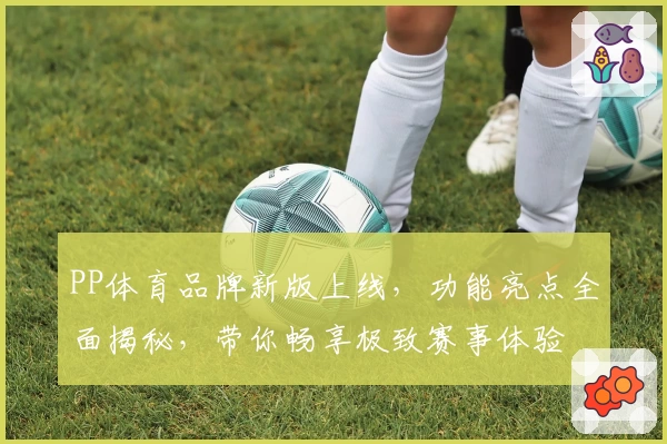 PP体育品牌新版上线，功能亮点全面揭秘，带你畅享极致赛事体验