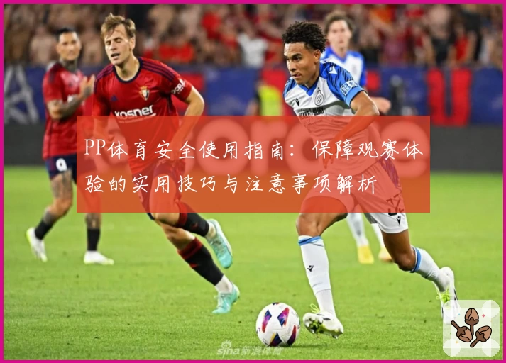 PP体育安全使用指南：保障观赛体验的实用技巧与注意事项解析